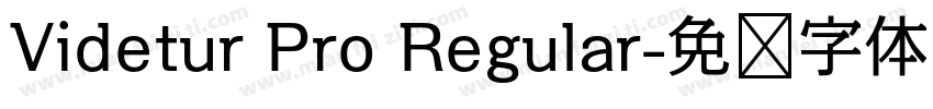 Videtur Pro Regular字体转换